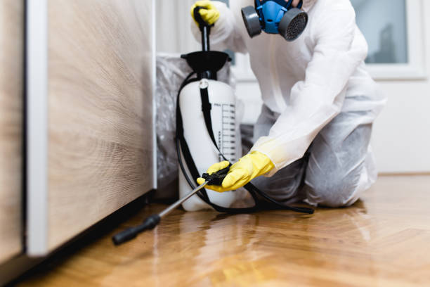 Best Best Pest Control Near Me  in Cordova, NC