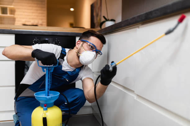 Best Bed Bug Extermination  in Cordova, NC