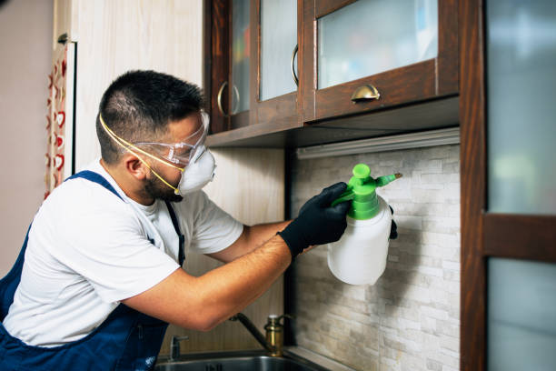 Best Cockroach Control Services  in Cordova, NC