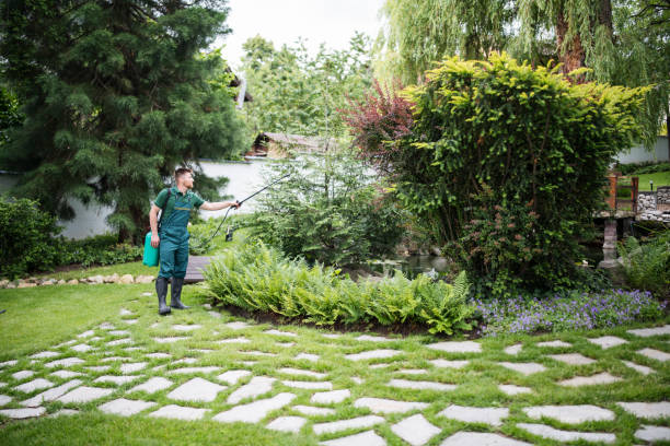 Best Residential Pest Control  in Cordova, NC