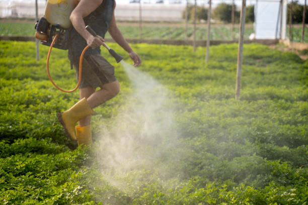 Best Insect Control  in Cordova, NC