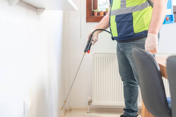 Best Termite Control Services  in Cordova, NC