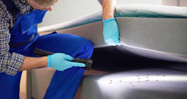 Best Local Pest Control Services  in Cordova, NC