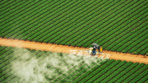 Best Pest Removal Services  in Cordova, NC