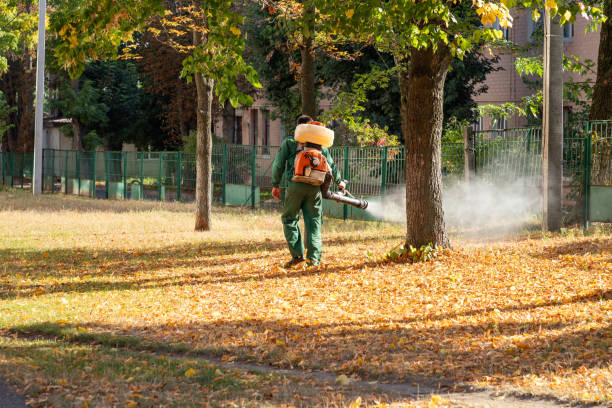 Best Mosquito Control Services  in Cordova, NC