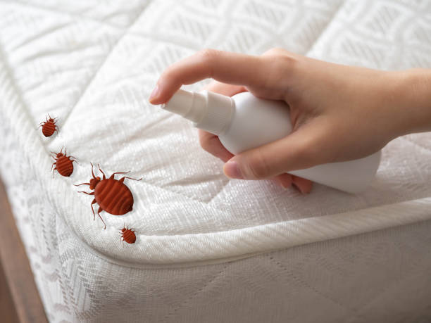Best Wildlife Control Services  in Cordova, NC