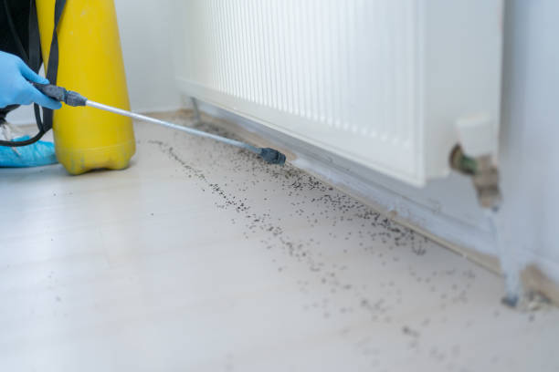 Best Pest Prevention Services  in Cordova, NC