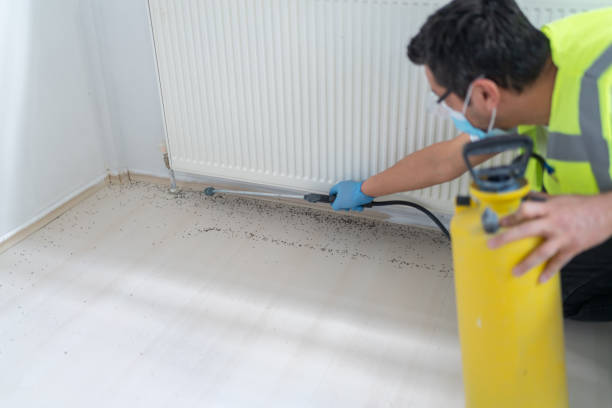 Best Best Pest Control Companies  in Cordova, NC